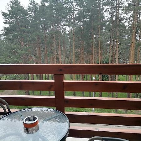Apartman Nele Ζλάτιμπορ Εξωτερικό φωτογραφία